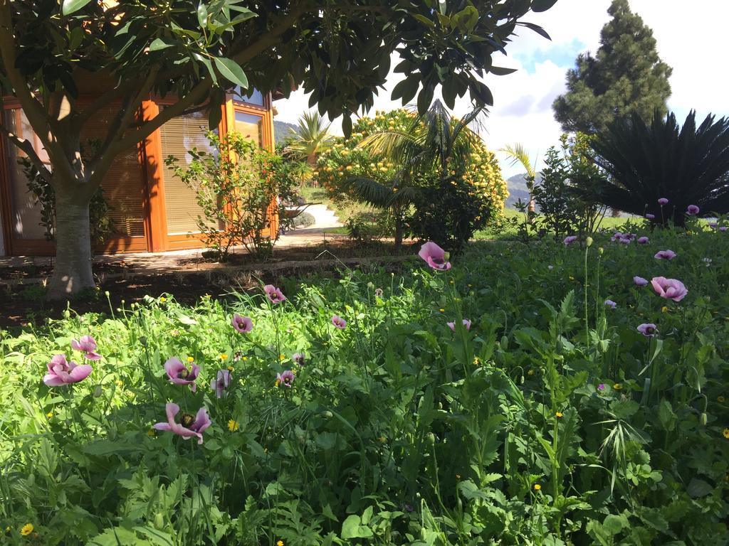 Finca Madrugada Santa Cruz de la Palma  Exteriör bild